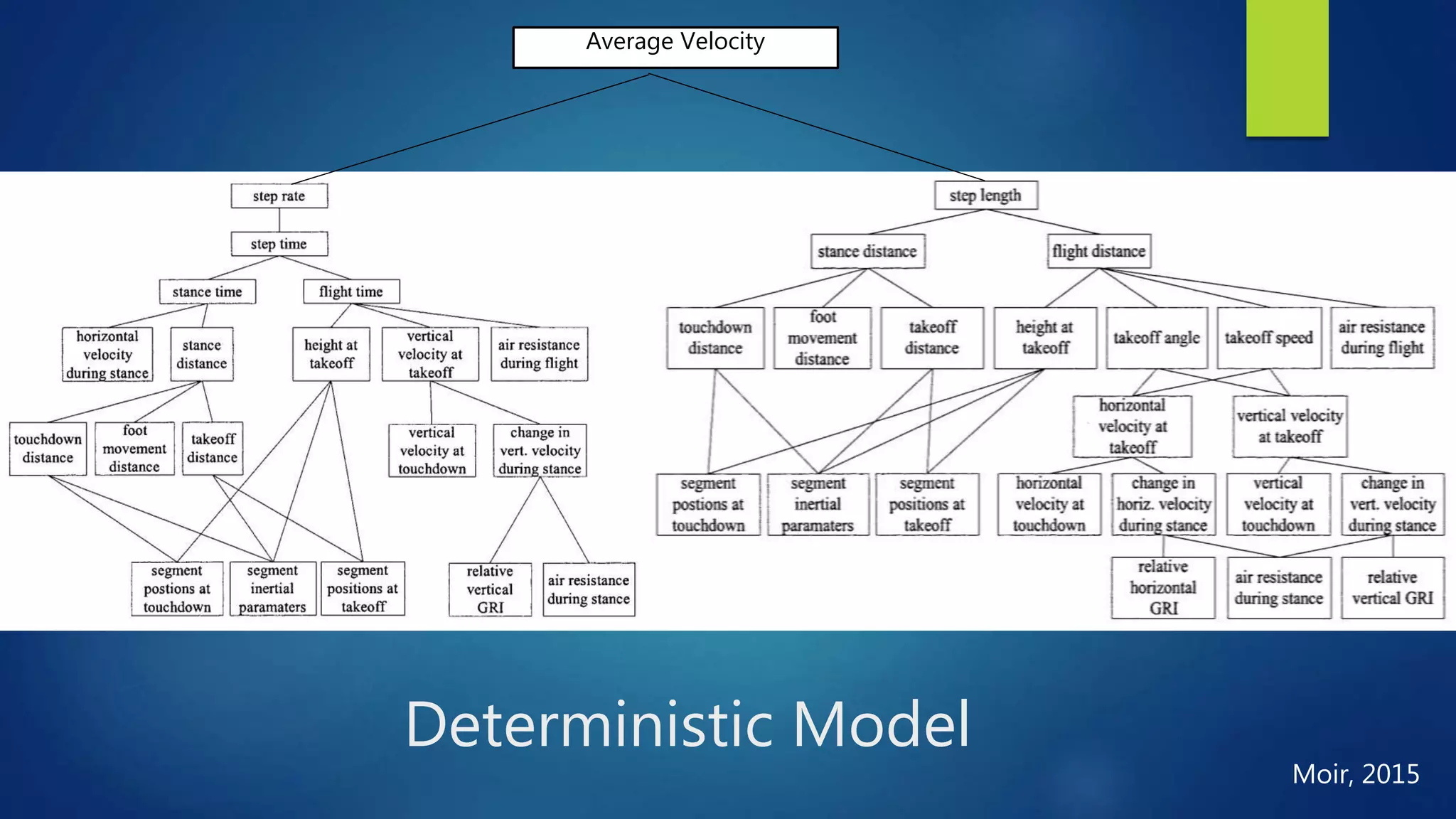 Deterministic Model
Average Velocity
Moir, 2015
 