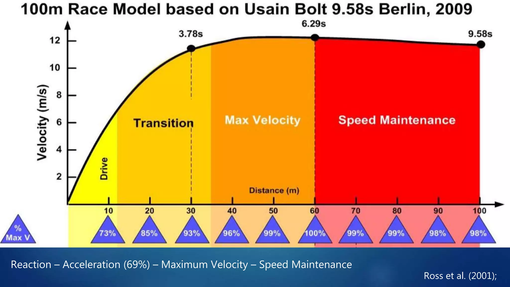 Reaction – Acceleration (69%) – Maximum Velocity – Speed Maintenance
Ross et al. (2001);
 
