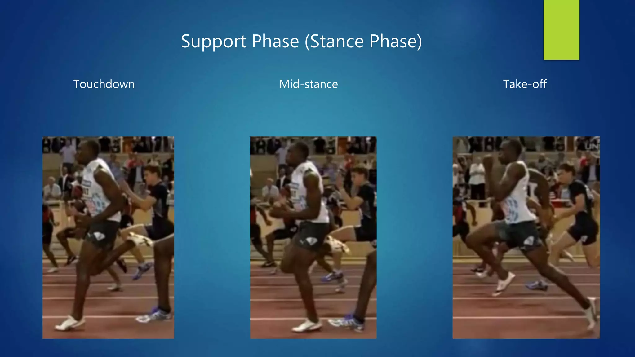 Touchdown Mid-stance Take-off
Support Phase (Stance Phase)
 