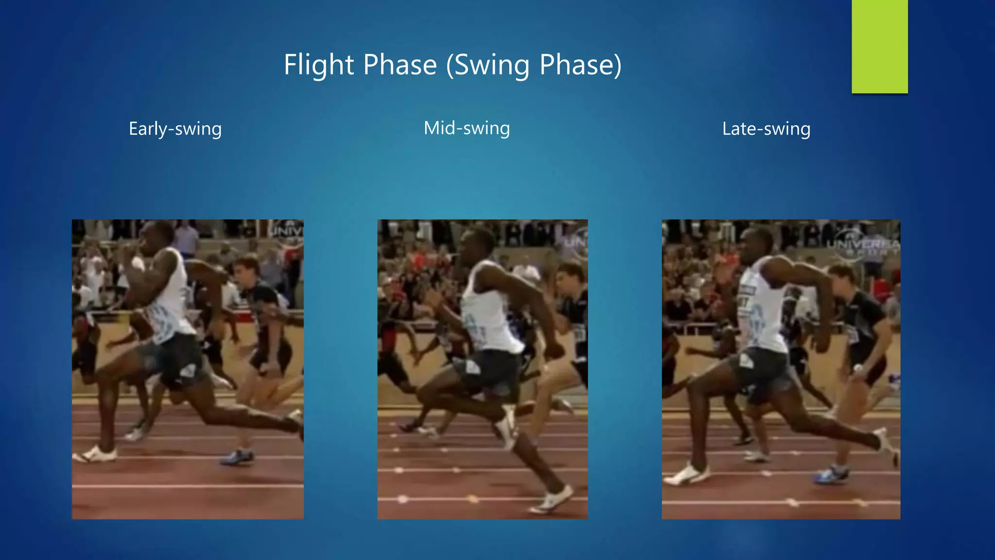 Early-swing Mid-swing Late-swing
Flight Phase (Swing Phase)
 