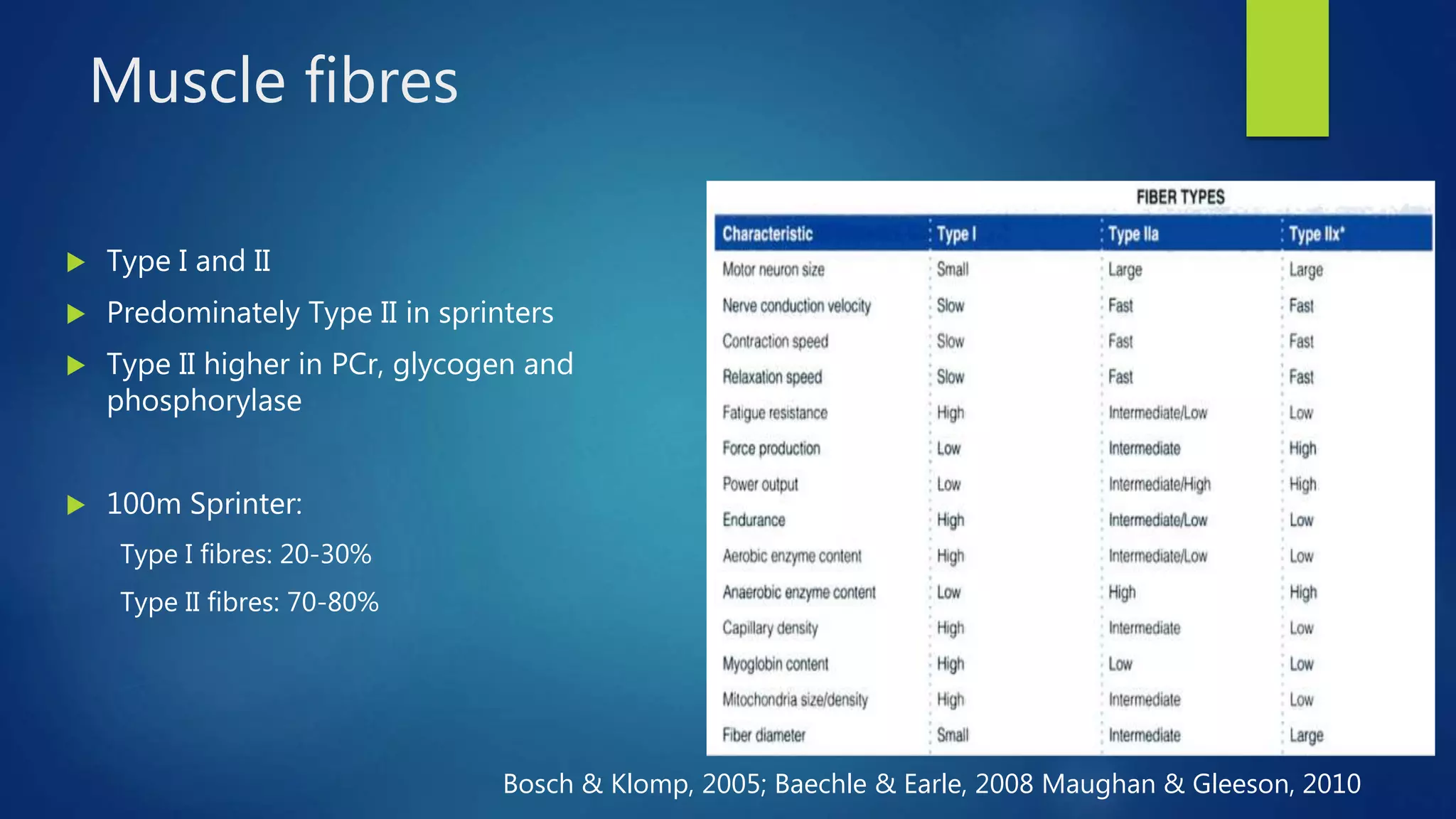 Muscle fibres
 Type I and II
 Predominately Type II in sprinters
 Type II higher in PCr, glycogen and
phosphorylase
 100m Sprinter:
Type I fibres: 20-30%
Type II fibres: 70-80%
Bosch & Klomp, 2005; Baechle & Earle, 2008 Maughan & Gleeson, 2010
 