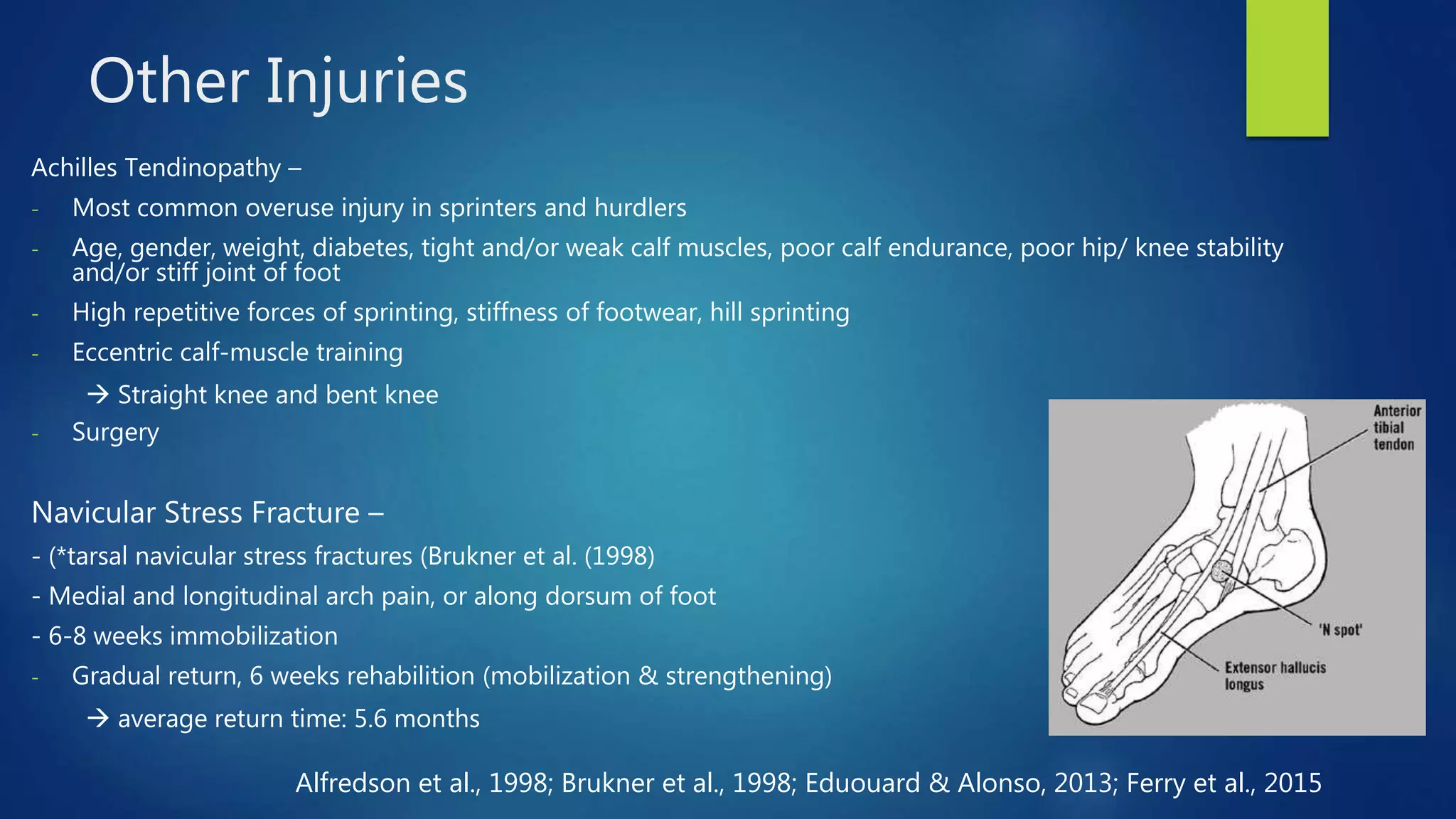 Other Injuries
Achilles Tendinopathy –
- Most common overuse injury in sprinters and hurdlers
- Age, gender, weight, diabetes, tight and/or weak calf muscles, poor calf endurance, poor hip/ knee stability
and/or stiff joint of foot
- High repetitive forces of sprinting, stiffness of footwear, hill sprinting
- Eccentric calf-muscle training
 Straight knee and bent knee
- Surgery
Navicular Stress Fracture –
- (*tarsal navicular stress fractures (Brukner et al. (1998)
- Medial and longitudinal arch pain, or along dorsum of foot
- 6-8 weeks immobilization
- Gradual return, 6 weeks rehabilition (mobilization & strengthening)
 average return time: 5.6 months
Alfredson et al., 1998; Brukner et al., 1998; Eduouard & Alonso, 2013; Ferry et al., 2015
 