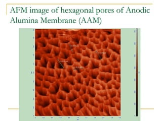 AFM image of hexagonal pores of Anodic
Alumina Membrane (AAM)
 