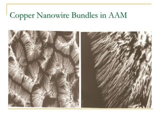 Copper Nanowire Bundles in AAM
 