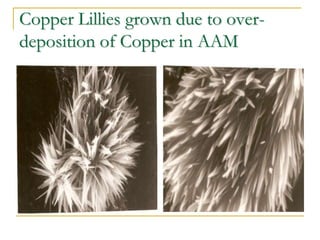 Copper Lillies grown due to over-
deposition of Copper in AAM
 
