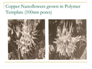 Copper Nanoflowers grown in Polymer
Template (100nm pores)
 