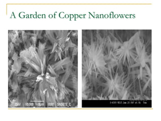 A Garden of Copper Nanoflowers
 