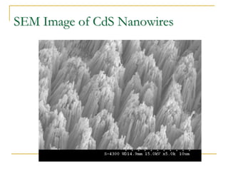 SEM Image of CdS Nanowires
 