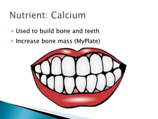 Used to build bone and teeth Increase bone mass (MyPlate) 