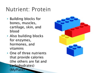 Building blocks for bones, muscles, cartilage, skin, and blood Also building blocks for enzymes, hormones, and vitamins One of three nutrients that provide calories (the others are fat and carbohydrates) (MyPlate) 