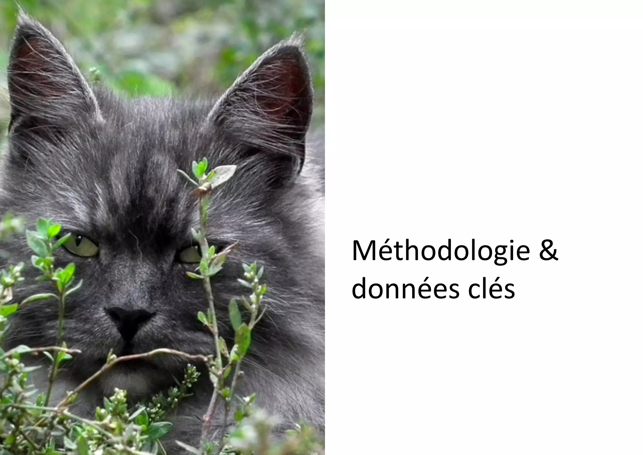 Méthodologie	
  &	
  
données	
  clés
 