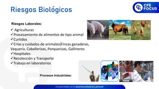 Riesgos Laborales:
✓ Agriculturas
✓Procesamiento de alimentos de tipo animal
✓Curtidos
✓Crías y cuidados de animales(Fincas ganaderas,
Vaquería, Caballerizas, Porquerizas, Gallineros
✓Hospitales
✓Recolección y Transporte
✓Trabajo en laboratorios
Procesos Industriales:
Riesgos Biológicos
 