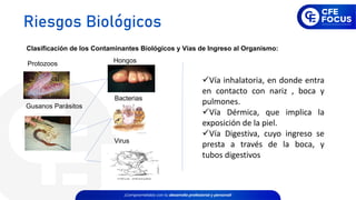 Clasificación de los Contaminantes Biológicos y Vías de Ingreso al Organismo:
Bacterias
Virus
Protozoos Hongos
Gusanos Parásitos
✓Vía inhalatoria, en donde entra
en contacto con nariz , boca y
pulmones.
✓Vía Dérmica, que implica la
exposición de la piel.
✓Vía Digestiva, cuyo ingreso se
presta a través de la boca, y
tubos digestivos
Riesgos Biológicos
 