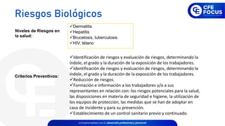 ✓Dermatitis
✓Hepatitis
✓Brucelosis, tuberculosis.
✓HIV, tétano
Niveles de Riesgos en
la salud:
Criterios Preventivos:
✓Identificación de riesgos y evaluación de riesgos, determinando la
índole, el grado y la duración de la exposición de los trabajadores.
✓Identificación de riesgos y evaluación de riesgos, determinando la
índole, el grado y la duración de la exposición de los trabajadores.
✓Reducción de riesgos.
✓Formación e información a los trabajadores y/o a sus
representantes en relación con: los riesgos potenciales para la salud,
las disposiciones en materia de seguridad e higiene, la utilización de
los equipos de protección, las medidas que se han de adoptar en
caso de incidente y para su prevención.
✓Establecimiento de un control sanitario previo y continuado.
Riesgos Biológicos
 
