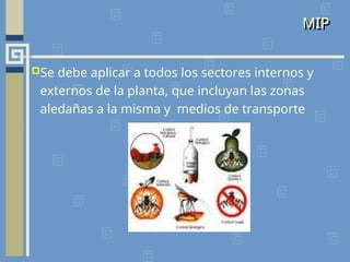 MIP
Se debe aplicar a todos los sectores internos y
externos de la planta, que incluyan las zonas
aledañas a la misma y medios de transporte
 