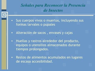 • Sus cuerpos vivos o muertos, incluyendo sus
formas larvales o pupales
• Alteración de sacos , envases y cajas
• Huellas y rastros alrededor del producto,
equipos o utensilios almacenados durante
tiempos prolongados.
• Restos de alimentos acumulados en lugares
de escasa accesibilidad.
.
Señales para Reconocer la Presencia
de Insectos
 