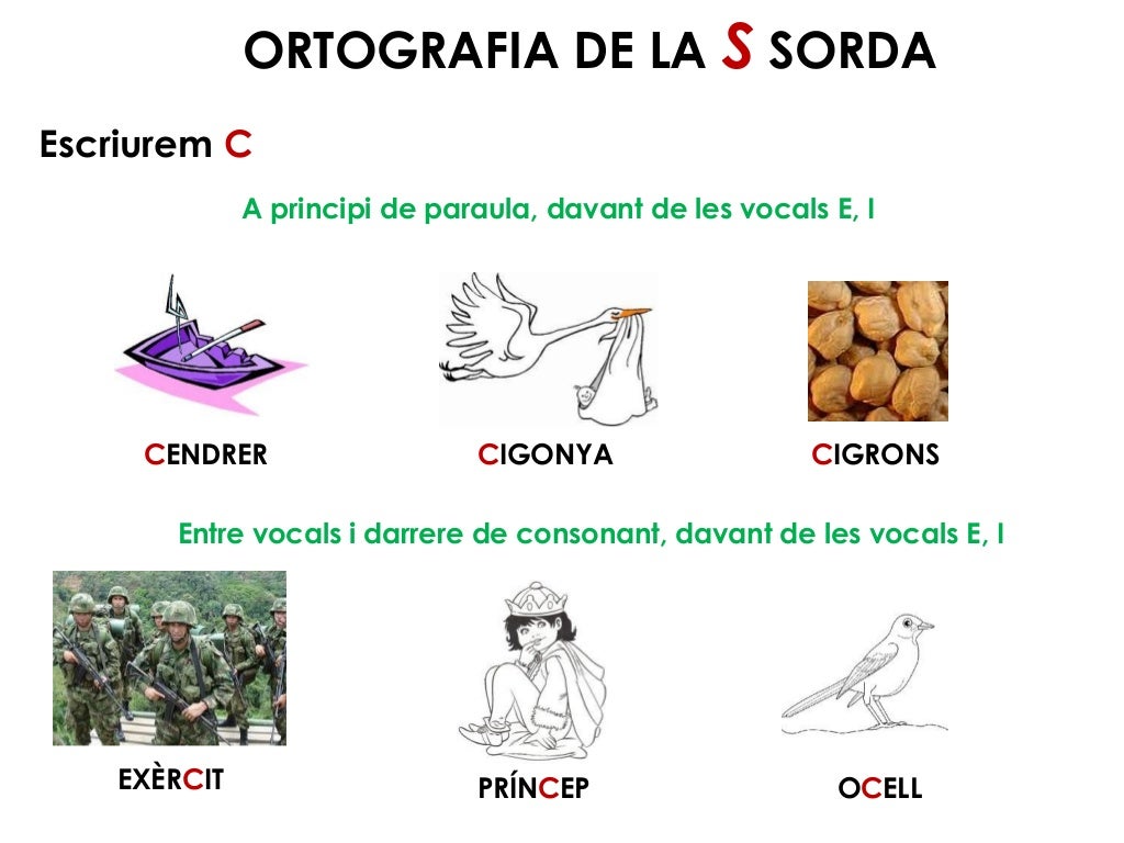 La S sorda i la S sonora
