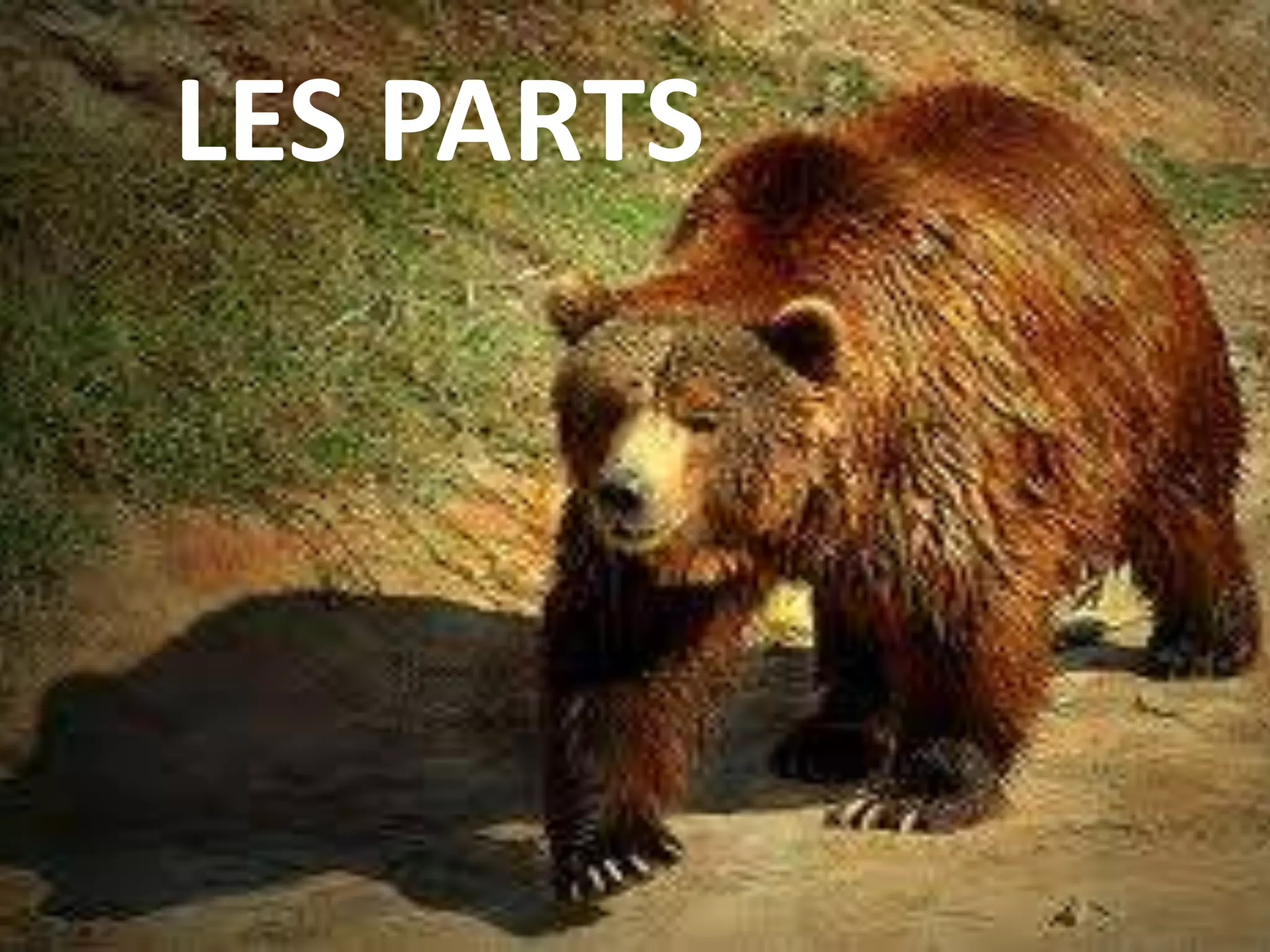 LES PARTS
 