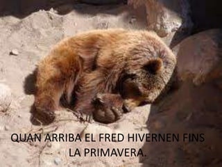 QUAN ARRIBA EL FRED HIVERNEN FINS
LA PRIMAVERA.
