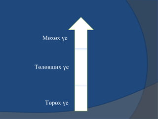 Мөхөх үе
Төлөвших үе
Төрөх үе
 