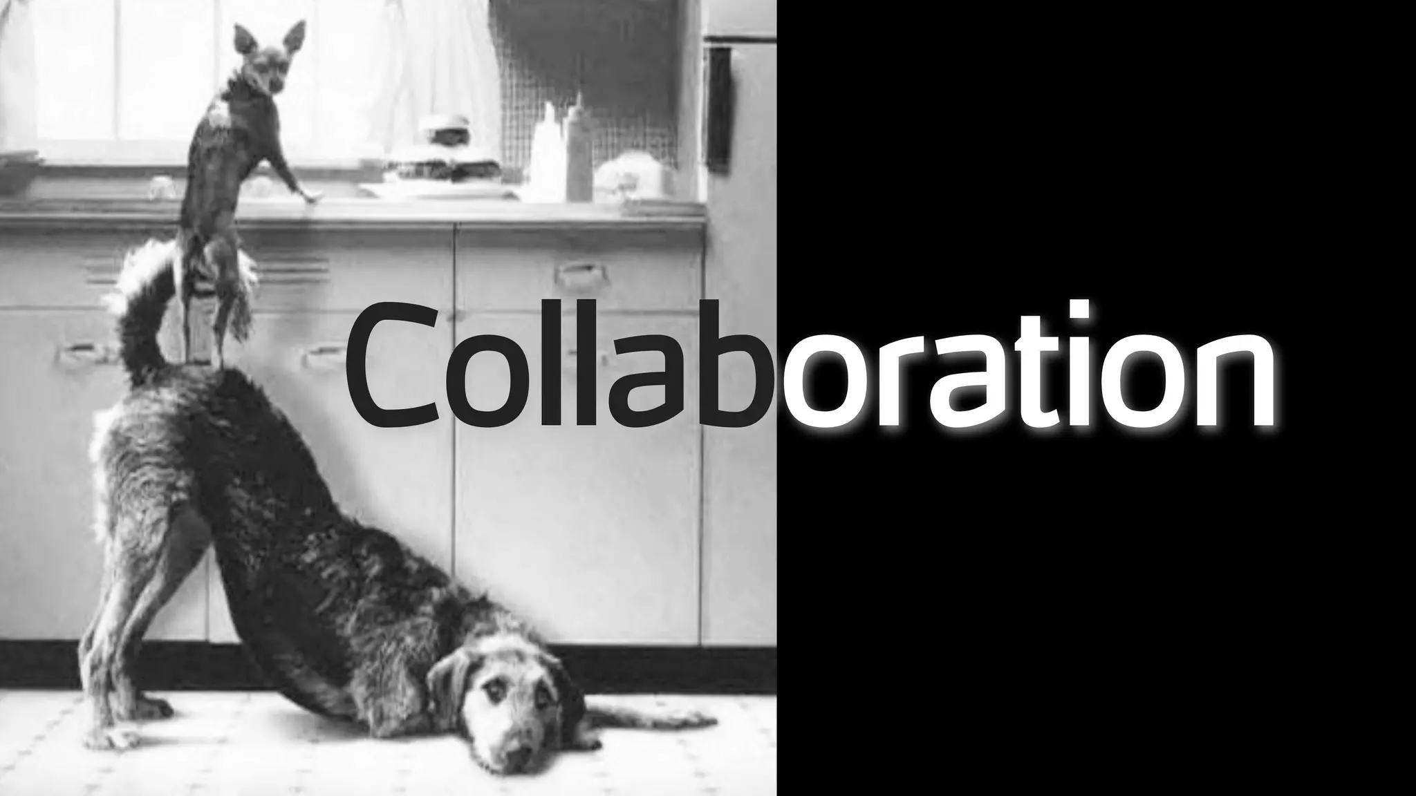 Collaboration
 