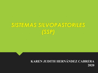SISTEMAS SILVOPASTORILES
(SSP)
KAREN JUDITH HERNÁNDEZ CABRERA
2020
 