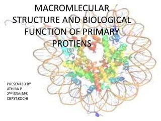 MACROMLECULAR
STRUCTURE AND BIOLOGICAL
FUNCTION OF PRIMARY
PROTIENS
PRESENTED BY
ATHIRA P
2ND SEM BPS
CBPST,KOCHI
 