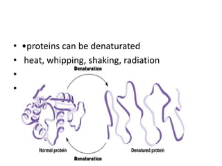 • •proteins can be denaturated
• heat, whipping, shaking, radiation
• strong pH changes, salt of heavy metals,
• organic solvents, detergents
 