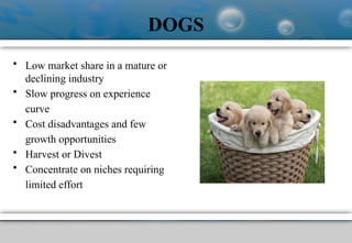 DOGS
• Low market share in a mature or
declining industry
• Slow progress on experience
curve
• Cost disadvantages and few
growth opportunities
• Harvest or Divest
• Concentrate on niches requiring
limited effort
 