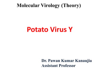 Dr. Pawan Kumar Kanaujia
Assistant Professor
Molecular Virology (Theory)
Potato Virus Y
 