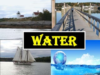 Water 
 