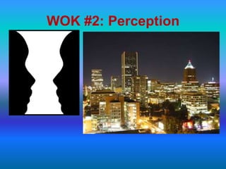 WOK #2: Perception
 