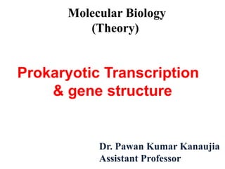 Dr. Pawan Kumar Kanaujia
Assistant Professor
Molecular Biology
(Theory)
Prokaryotic Transcription
& gene structure
 