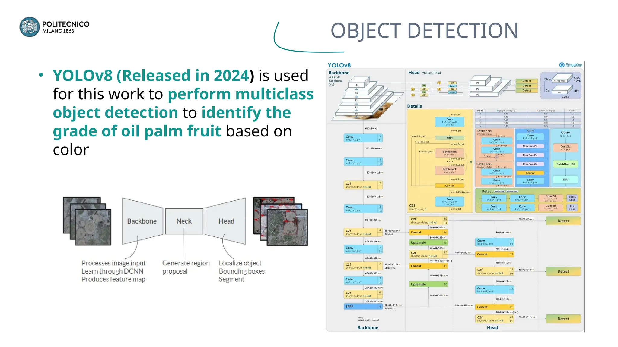 OBJECT DETECTION
• YOLOv8 (Released in 2024) is used
for this work to perform multiclass
object detection to identify the
grade of oil palm fruit based on
color
 