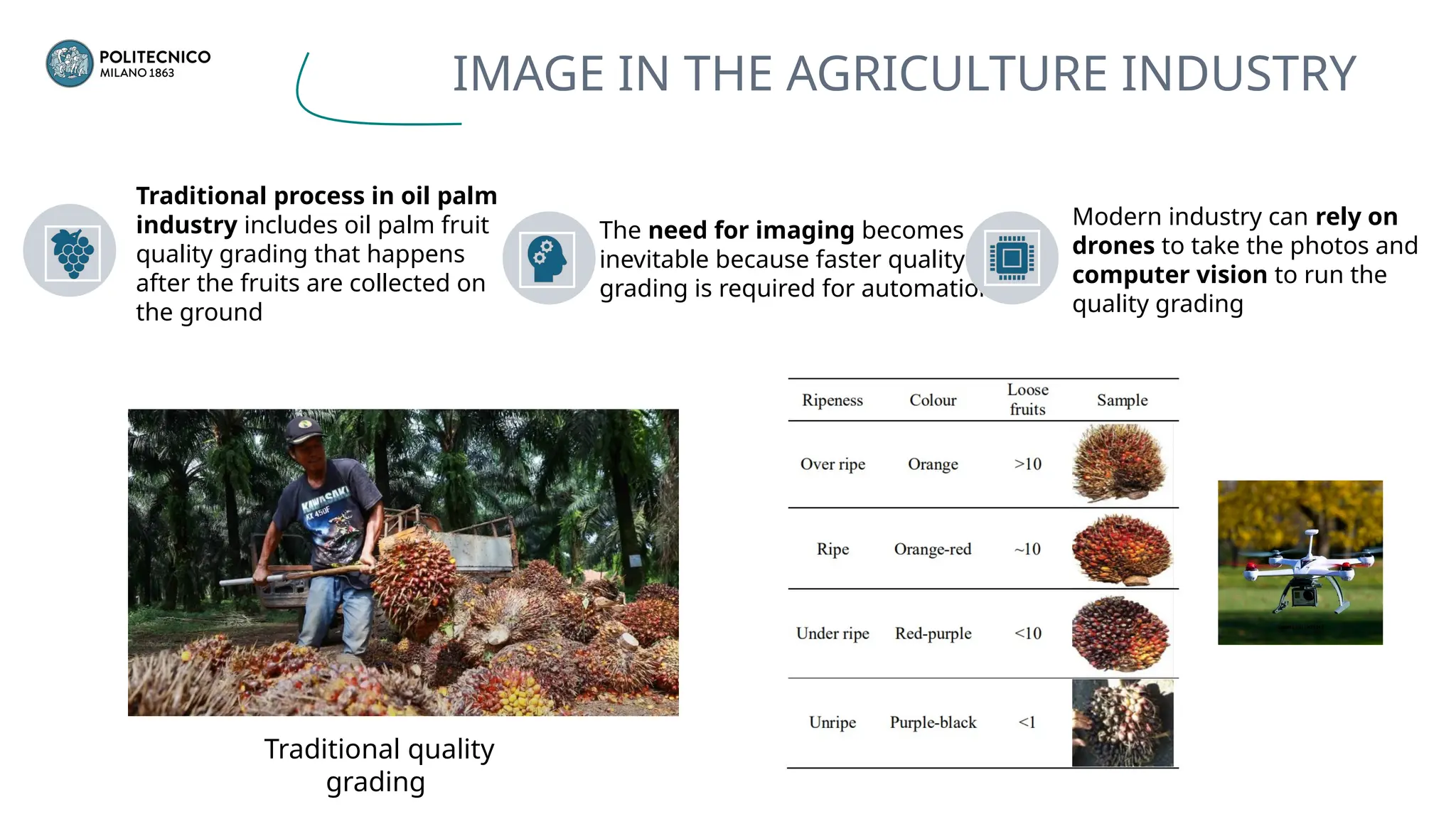 IMAGE IN THE AGRICULTURE INDUSTRY
Traditional quality
grading
Traditional process in oil palm
industry includes oil palm fruit
quality grading that happens
after the fruits are collected on
the ground
The need for imaging becomes
inevitable because faster quality
grading is required for automation
Modern industry can rely on
drones to take the photos and
computer vision to run the
quality grading
 