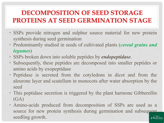 Seed Storage Proteins in Plants | PDF