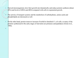  Starved microorganisms slow their growth rate dramatically and reduce protein synthesis (about
20%) and levels of rRNA and tRNA compared with cells in exponential growth.
 The activity of transport systems and the metabolism of carbohydrates, amino acids and
phospholipids are decreased as well.
 On the other hand, protein turnover increases fivefold in famished E. coli cells, as many of the
proteins synthesized in the early stages of starvation are proteases and peptidases (Groat et al.,
1986).

 