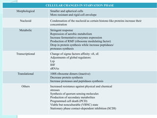 CELLULAR CHANGES IN STARVATION PHASE
Morphological Smaller and spherical cells
More resistant and rigid cell envelope
Nucleoid Condensation of the nucleoid as certain histone-like proteins increase their
concentration
Metabolic Stringent response
Repression of aerobic metabolism
Increase fermentative enzymes expression
Production of RMF (ribosome modulating factor)
Drop in protein synthesis while increase peptidases/
proteases synthesis
Transcriptional Change of sigma factors affinity: sS, sE
Adjustments of global regulators:
Lrp
IHF
sRNAs
Translational 100S ribosome dimers (inactive)
Decrease protein synthesis
Increase proteases and peptidases synthesis
Others Increased resistance against physical and chemical
stresses
Synthesis of quorum sensing molecules
Production of secondary metabolites
Programmed cell death (PCD)
Viable but nonculturable (VBNC) state
Stationary phase contact-dependent inhibition (SCDI)
 