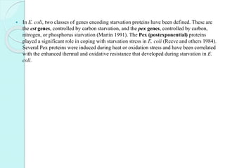  In E. coli, two classes of genes encoding starvation proteins have been defined. These are
the cst genes, controlled by carbon starvation, and the pex genes, controlled by carbon,
nitrogen, or phosphorus starvation (Martin 1991). The Pex (postexponential) proteins
played a significant role in coping with starvation stress in E. coli (Reeve and others 1984).
Several Pex proteins were induced during heat or oxidation stress and have been correlated
with the enhanced thermal and oxidative resistance that developed during starvation in E.
coli.
 