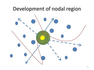 Development of nodal region
27
 