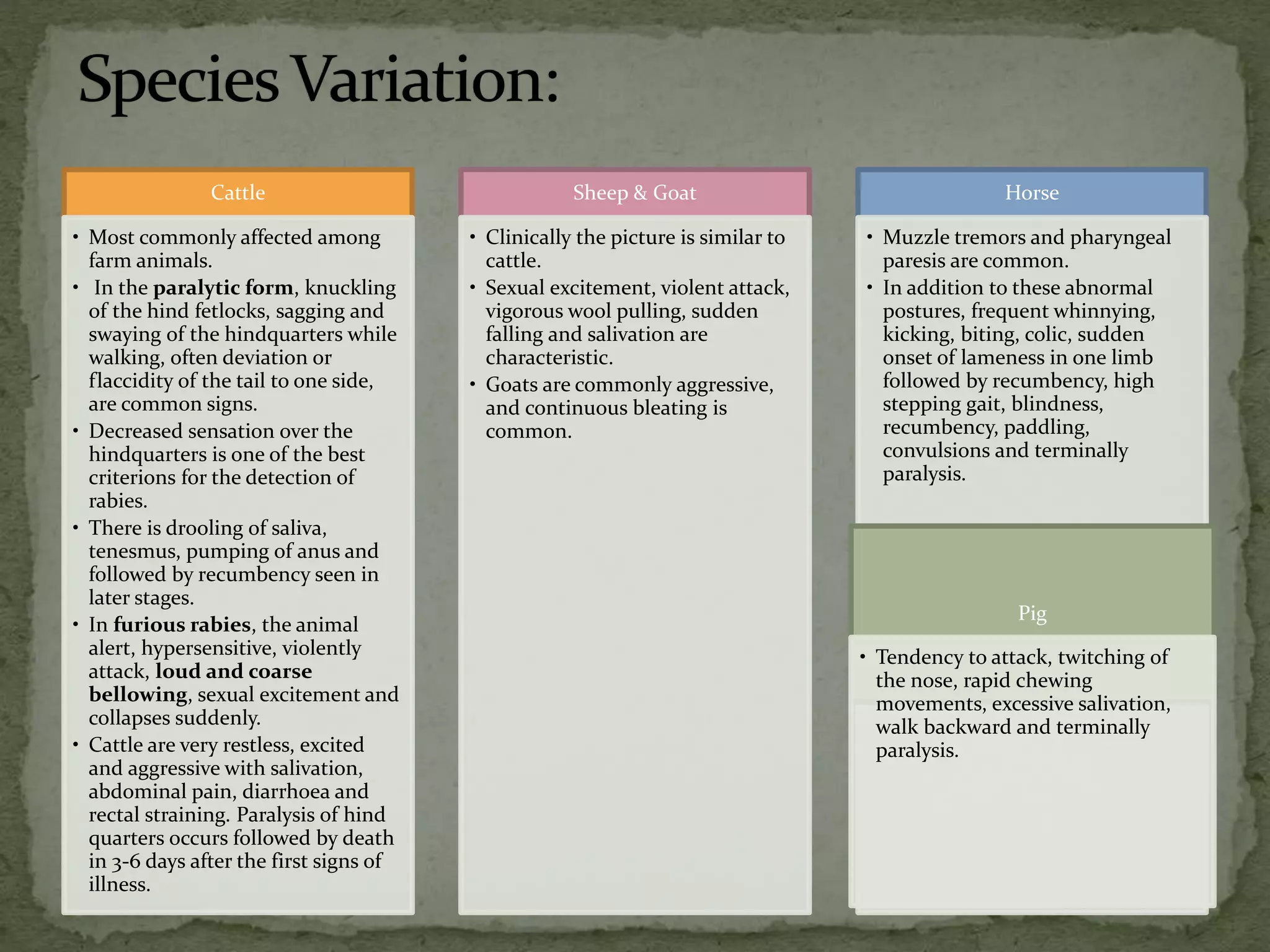 Rabies: a fatal zoonotic threat | PPTX