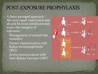 Rabies: a fatal zoonotic threat | PPTX