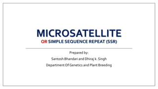 MICROSATELLITE
OR SIMPLE SEQUENCE REPEAT (SSR)
Prepared by:
Santosh Bhandari and Dhiraj k. Singh
Department Of Genetics and Plant Breeding
 