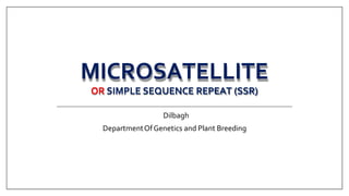MICROSATELLITE
OR SIMPLE SEQUENCE REPEAT (SSR)
Dilbagh
DepartmentOfGenetics and Plant Breeding
 