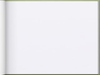 SS regional diplomacy