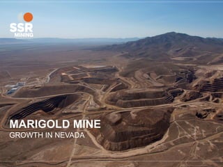 MARIGOLD MINE
GROWTH IN NEVADA
 
