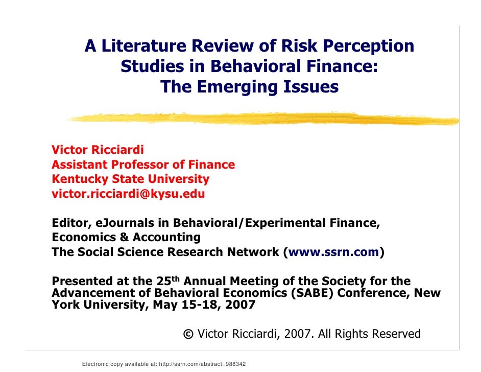 risk perception literature review