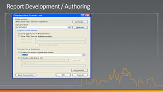 Report Development / Authoring
 