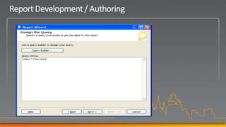 Report Development / Authoring
 