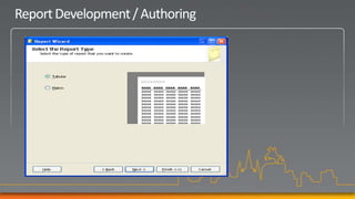 Report Development / Authoring
 